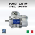 Three phase motor DELPHI 100LA-8 - MOTIVE