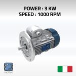 Three phase motor- DELPHI 132S-6 - MOTIVE