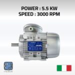 Three phase motor DELPHI 132SA-2 - MOTIVE