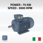 Three phase motor DELPHI 280S-2 - MOTIVE