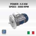 Three phase motor DELPHI 132SA-2 - MOTIVE