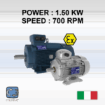 Three phase Motor-ATEX MOTORS - DELPHI 112M-8 - MOTIVE
