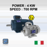 Three phase Motor-ATEX MOTORS - DELPHI 160MA-8 - MOTIVE