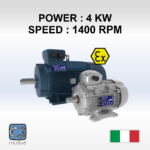 Three phase Motor-ATEX MOTORS - DELPHI 112M-4 - MOTIVE