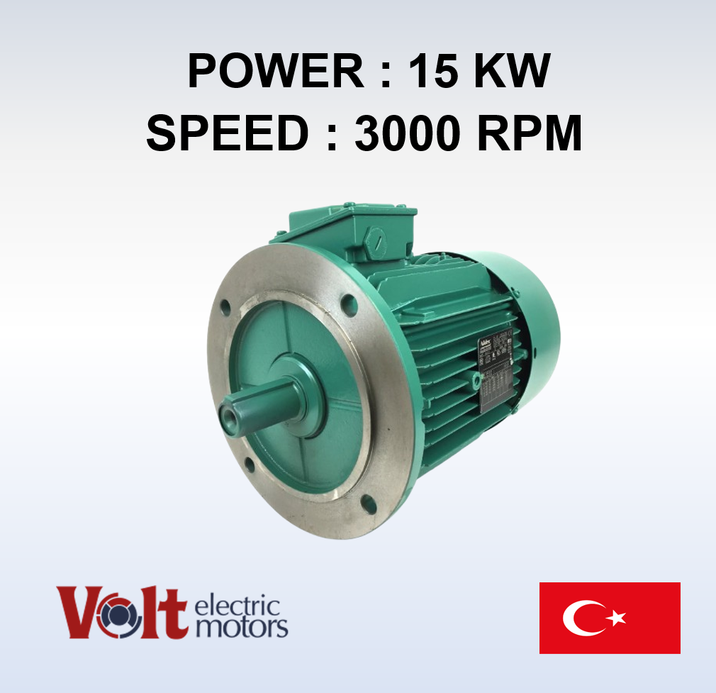 15-3000 Three phase motor-V3EA160M2B-B5-VOLt - الصورة 1